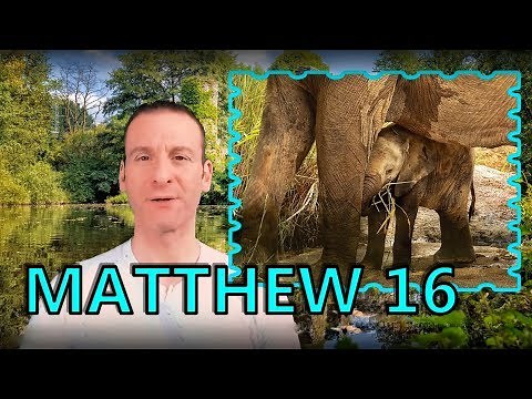 Matthew Chapter 16 Summary and What God Wants From Us
