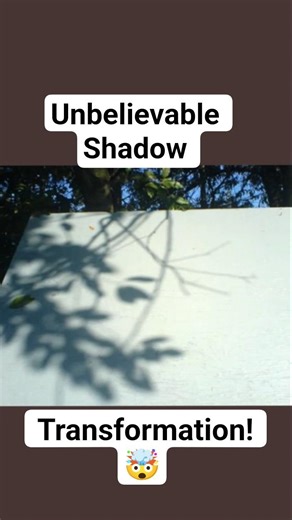 Tree Shadow Awakens: The Spirit Within a Shadow! | ‪@VisionShapeArt‬ #shorts #art