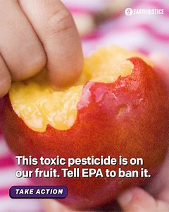 110K views · 805 reactions | In 2021, we successfully got a dangerous pesticide called chlorpyrifos banned from being sprayed on our food. But after a lawsuit from a chemical company, the ban was revoked. Tell EPA to do the right thing and put the chlorpyrifos ban back in place! | Earthjustice | Facebook