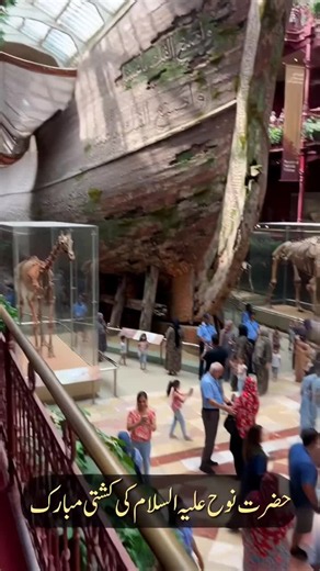 Where is Noah's Ark Today? The Mystery of the Great Flood