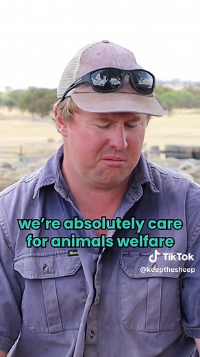 KeeptheSheep on TikTok