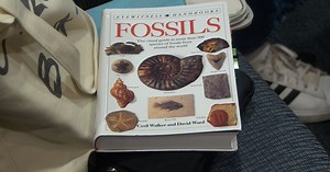 Montana students showcase talent at Science Olympiad in Bozeman