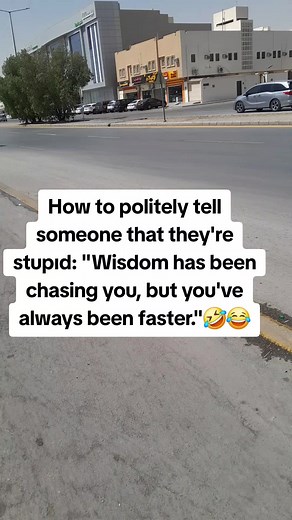 Wisdom Has Been Chasing You: A Humorous Insight