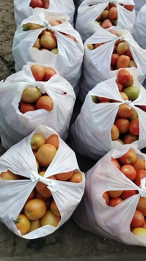 Faqeer M Ahsan Khan (@fakirmahsankhan)’s videos with original sound - user33842876993