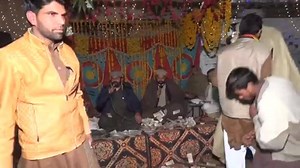 DeSi ProGram on Reels