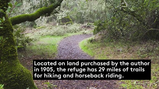 43K views · 261 reactions | A wine country staple, California's Sonoma County offers a ton of activity for the casual traveler. | Travel + Leisure | Facebook