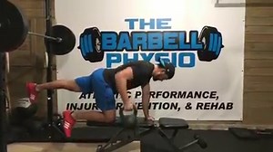 BIRD DOG ROWS. My favorite core strength exercise. Load the row up heavy to really challenge your ability to not rotate your spine! | The Barbell Physio