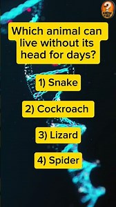 Animal quiz Ep. 9‼️ #facts #wildlife #gkquiz #animals