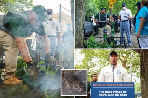 NYC unleashes rat death squad to gas vermin with carbon monoxide, bury them in tree-pit graves