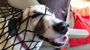 1.1M views · 1.1K shares | I don't think I ever want to try those face masks.... | FailArmy | Facebook