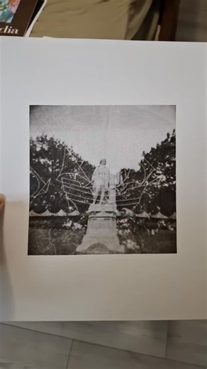 Chirag Wakaskar on Instagram: "Printed (plotted) Double exposure 120 film photograph of Christopher Columbus statue at Philadelphia / Lenapehòkink (Lenapehoking), the ancestral territory of the Lenape people. The python code is essentially a fast marching based contour mapping system that computes travel time fields over an image's intensity surface (brightness) and visualizes them as level set contour lines. 11x14 Strathmore Mixed Media Paper + Pigma micron black pen. #penplotter #120film"