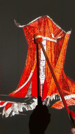 Thyrohyoid #kinesiology #anatomy #anatomystudy #biomechanics #science #biology