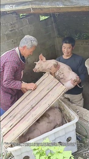 Clever Pig Catching Hack! Easy Farm Skill 🐖↓