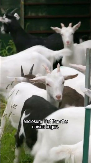 The Electric Fence 😂 - Clarkson's Farm Moments That Broke the Cast