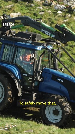 Two weeks after the famous tree was felled, the timber has been taken away 🌳 #SycamoreGap #Sycamore #hadrianswall #northumberland | BBC North East