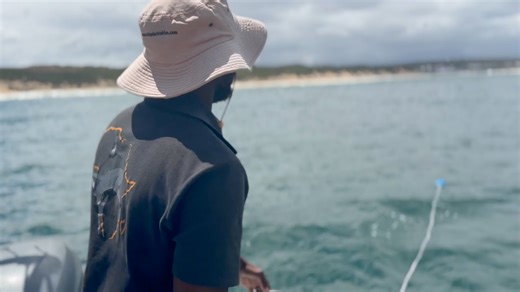 Unforgettable great white shark cage dive: Up-close ocean adventure!