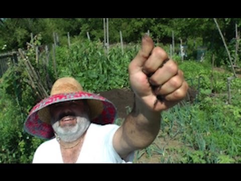 Super Fast Composting Method! (for home gardeners)