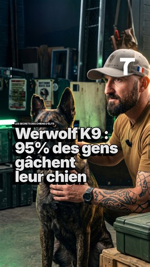 WERWOLF K9 : « 95 % DES GENS GÂCHENT LEUR CHIEN »