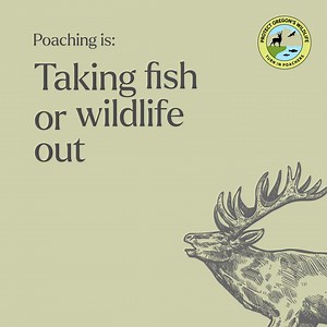 17 reactions | We can all help protect Oregon’s fish and wildlife...