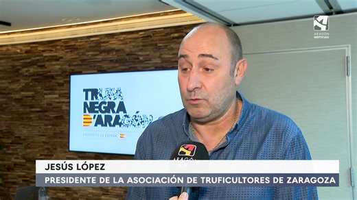 Aragón es líder mundial en la producción de trufa negra: produce de 20 a 30 toneladas al año. Trufa Negra de Aragón inició hace más de tres años un estudio para unificar criterios y estandarizar su comercio. ➡️En el estudio han participado investigadores del CITA, que han trabajado sobre más de 300 muestras en las que han comprobado que en el 80% de los productos comercializados con trufa negra, ese hongo no existe. | Aragón Noticias | Facebook