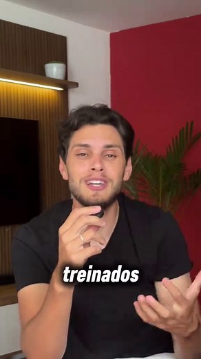 Por que os morcegos transmitem tantas doenças?