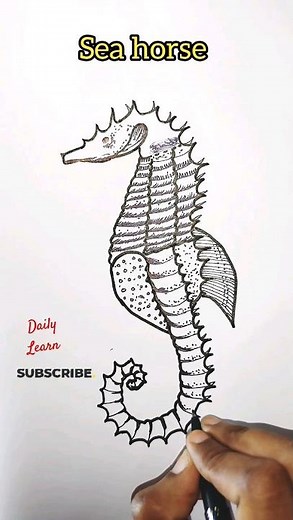 how to draw seahorse/hippocampus#fish #shorts #viralvideo #shortsvideo #viral #new#diagram #science
