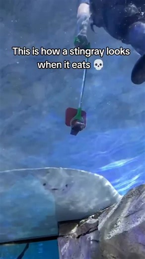 drive with sea - dark ocean mysteries on Instagram: "“From dark oceans to frozen seas, this is where nature shows its real power. These are not just waves and ice — this is the raw, untamed side of the world that most people never get to see. Every journey through these waters is a fight between human strength and nature’s force. If you love ocean vibes, dark seas, ice worlds, and extreme nature clips like this, hit FOLLOW and stay with me for more real scenes from the wild side of Earth. 🌊❄️”"