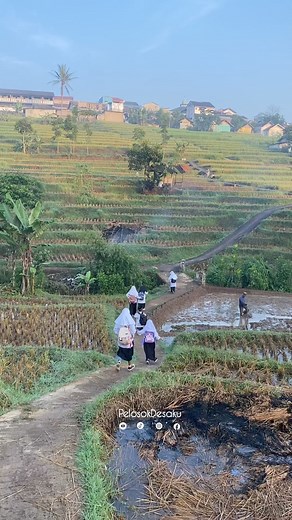 435K views · 10K reactions | Suasana Pagi Anak Anak Berangkat Sekolah kp cisema banjaran kabupaten bandung #reelsfb #suasanapagi #anaksekolah #pedesaan | Pelosok Desaku | Facebook