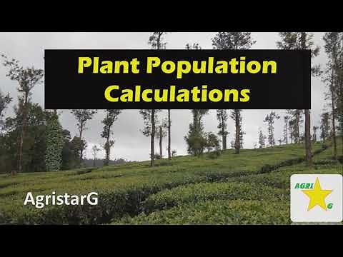 Calculation of Plant Population (simple & PAIRED ROW calculation)#AgristarG
