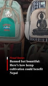 Banned but bountiful: Here’s how hemp cultivation could benefit Nepal | The Kathmandu Post