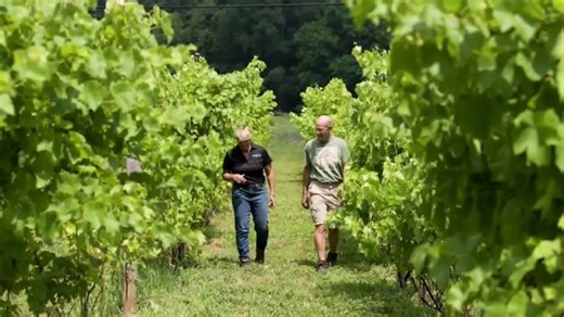 Acquilano Wine Cellars TV Spot, 'More Than a Winery'