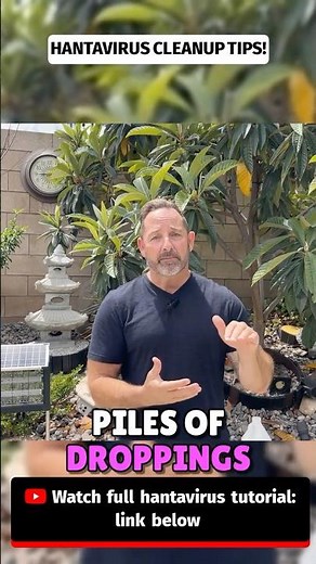How to Kill Hantavirus ⚠️ (DON’T Clean Rodent Droppings Until You Watch This) #hantavirus