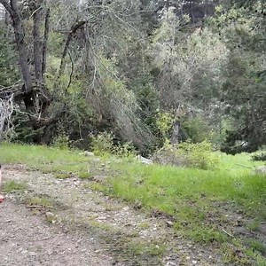 16K views · 591 reactions | CAMPING WITH OUR NEW INFLATABLE TENT WITH 2 BEDROOM #camping #campingtrip #campingfun #campingvibes #campingcar #survival #bushcraft #raining #solocamping | Outdoor Camping | Facebook