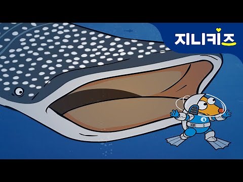 Ocean Adventure 17 whale shark | Genikids★ Ocean Adventure for kids