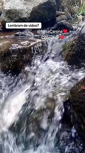 Família, foi com esse vídeo que participamos do concurso de mãe de milhões e ganhamos, muito obrigada pelo carinho e engajamento de todos @Nilsa Carona ♥️