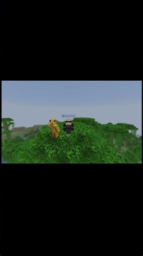The new Strength SMP