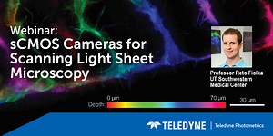 sCMOS Cameras For Scanning Light Sheet Microscopy