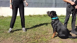 382K views · 716 shares | Elle n'a pas confiance ni en elle ni en...