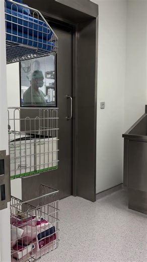 Pediatrics and Physical Therapy Insights