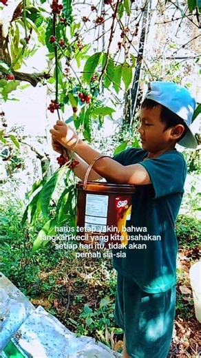 Grow A Garden Asli ( panen buah kopi )