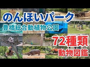 のんほいパークの動物たち｜72種類の見どころ完全ガイド【豊橋総合動植物公園】
