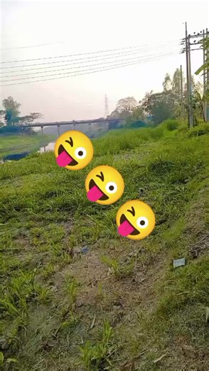 #🕊️🕊️ #🇸🇬🇸🇬🇸🇬 #ddddddddddddddddddd🕊️🕊️ #🇸🇬🇸🇬🇸🇬