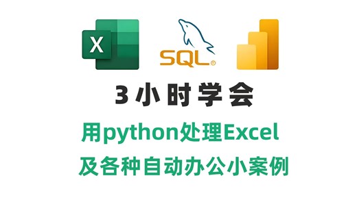 【3小时极速学会】使用 Python 高效处理 Excel 数据它来了！！