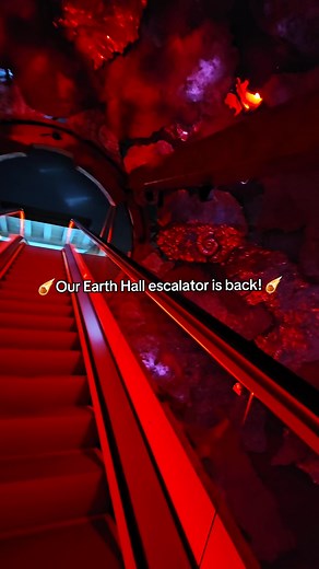 Our iconic Earth Hall escalator is back! 🌠 Ride through a celestial map and discover incredible specimens, including one of Europe's most complete Stegosaurus skeletons. 🦖 Tag the person you’d love to explore the Earth Hall with! 🌍 | Natural History Museum, London