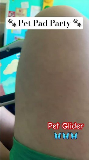 Pet Pad Party ~ Pet Glider 🦋🦋🦋