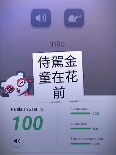 Pelajari Bahasa Mandarin dengan Aplikasi Terbaik