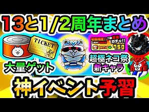 The 13 and a half anniversary event is coming! Get ready for the amazing event with tons of Cat F...