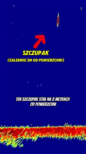 Szczupak przy powierzchni – Grudniowa przygoda wędkarska