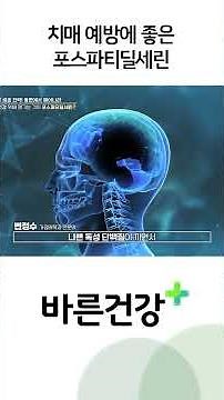 뇌 건강에 필수적인 포스파티딜세린