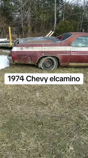 Reviving Classic Cars: A Journey Through Nostalgia